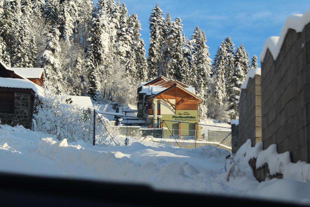 Pine Wood Apartment วิชเน รุชบาคีย์ ภายนอก รูปภาพ